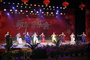 燕山大学举办2013年新年音乐会 欢迎访问燕山大学新闻网 