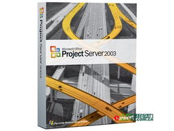 Microsoft Project Server 2003 价格多少啊?