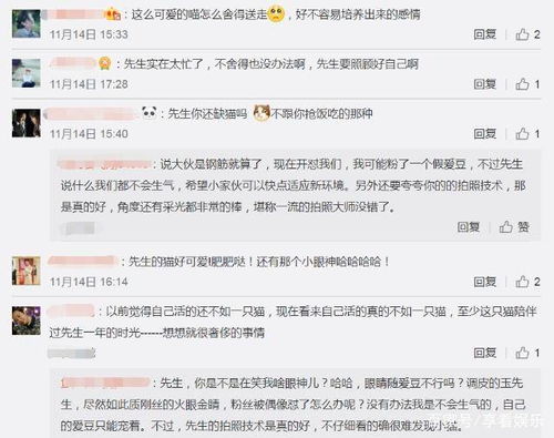 李玉刚为一只猫开怼粉丝,钢丝不仅没生气,还夸他拍照技术好