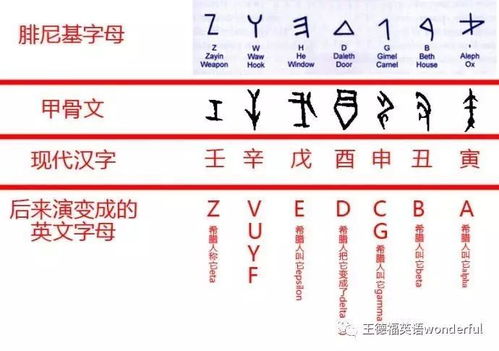 英语小知识 英文26个字母起源探秘 下 