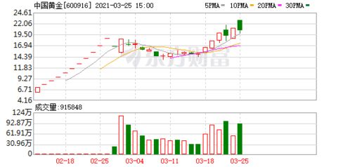 中国黄金集团和中金股份有限公司是什么关系