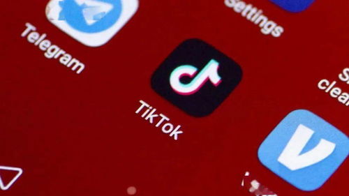 抖音海外版TikTok推荐算法_Tik Tok广告投放价格