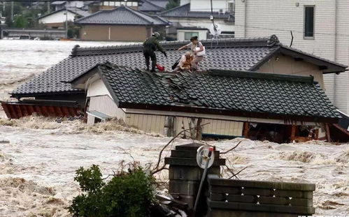 700岁奥克冰川消失10座城市下沉,全球变暖一个牺牲者会是谁