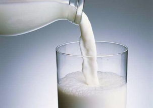 早起可以空腹喝纯奶吗(早起能空腹喝牛奶吗?)