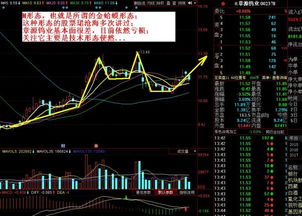 如果股票市盈率为5，那么我买股票拿5，6能干赚股票吗