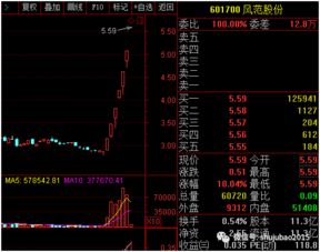 ST熊猫实现连续4个涨停板