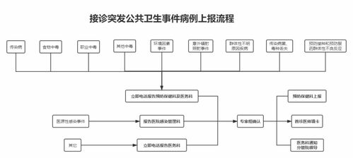 新文献本科查重标准与流程