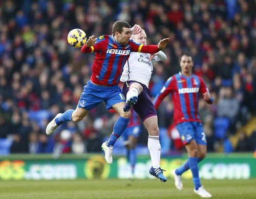 crystal palace đấu với everton,Giới thiệu về Crystal Palace