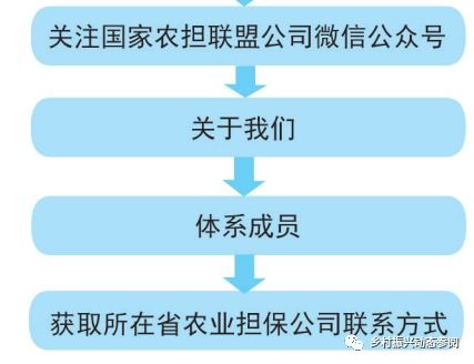 担保公司和融资担保公司的区别？