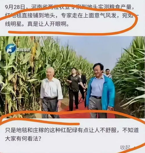 十指不沾泥的下一句,十指不沾泥的下一句是什么-第3张图片