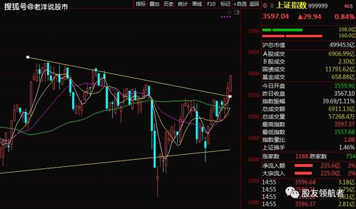 在低位的股票，大阴大阳的走势，成交放大，但是换手很低，说明什么？