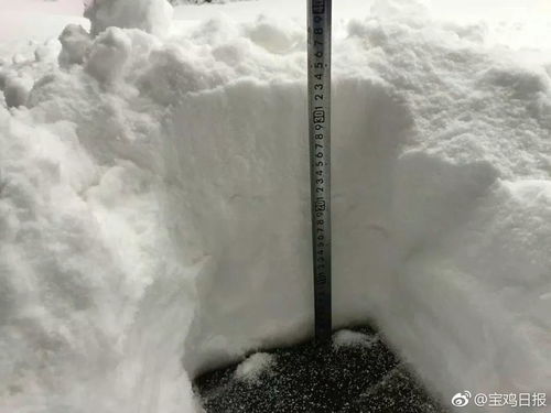 汉中这么冷,原来是下雪了 