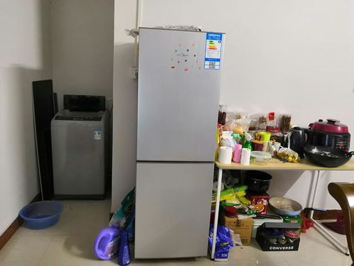 做妻子的要注意 冰箱上不能摆放4种物品,占一样也会断老公财运