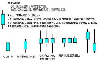 知识的根