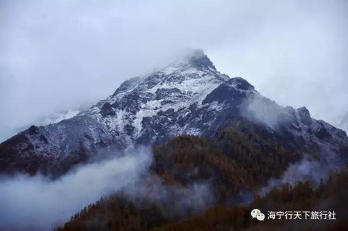 新疆最好的旅行社排名：探索神秘之地