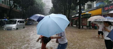 佛山触电 母女在大雨中逝去