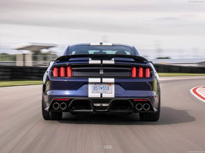 福特2019款Mustang Shelby GT350 