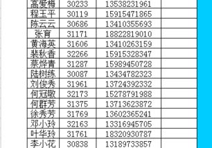 苹果手机下载Office Excel 工作表怎么显示跟电脑不一样,求解 