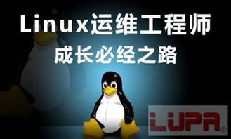 《linux就该这么学》,掌握Liux，开启自由编程之旅！