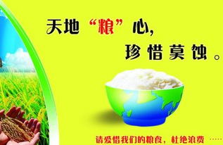 要珍惜现在幸福名言