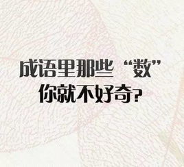 晴之的成语,晴之成语，点亮心灵的明灯——探寻其深刻内涵与魅力