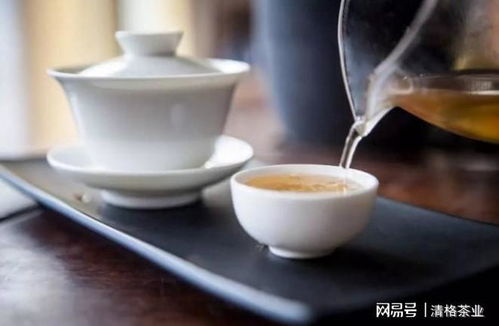 新手泡茶用什么茶(新手喝什么茶叶比较好)