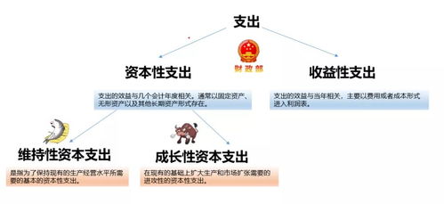 三招透视上市公司的 原力 资本开支