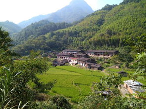 大佑山郭墩横历上宝山倒马岭池美碧溪骑行未命名