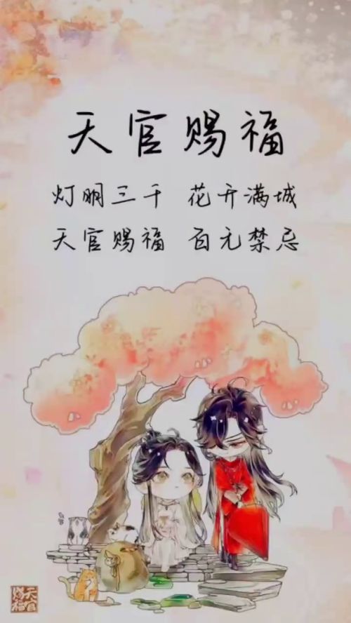 天官赐福 原耽 动漫 谢怜生日快乐 