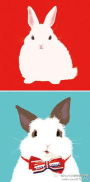 很可爱的兔子 微博截图