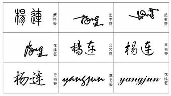 杨连的艺术签名怎么写 