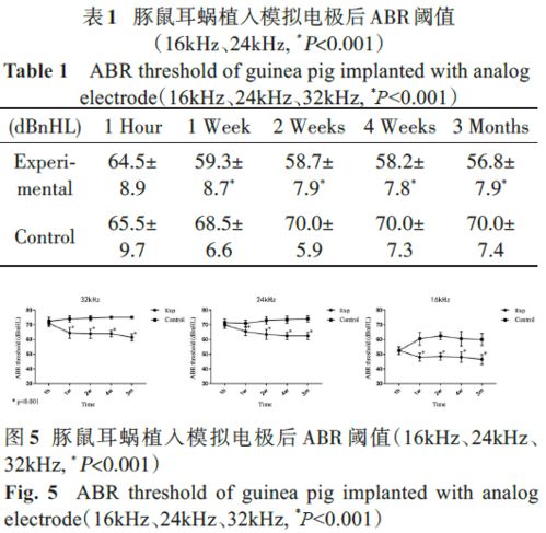 成都人工降重效果评估方法