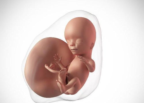 原创孕妈进入这个月份后，尽量少做这3件事，可能会“影响”胎儿发育