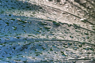 雨之语——解析雨的丰富词语表达，雨的词语怎么说你说你