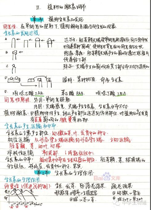 免费领 东北师大附中理科学霸高中生物笔记 2014年高考状元笔记