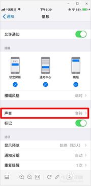 怎么样关掉苹果手机通知声音 ，如何关闭苹果手机提醒声