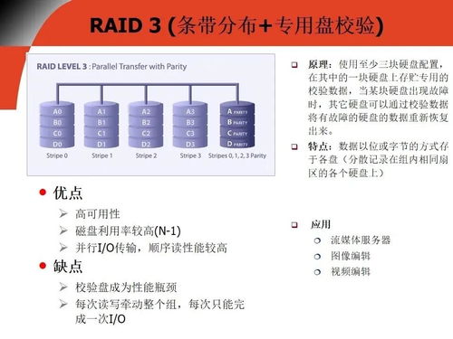 存储知识全面总结