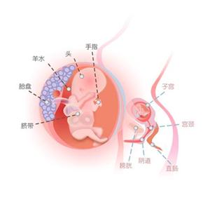 怀孕14周可以给宝宝听胎教