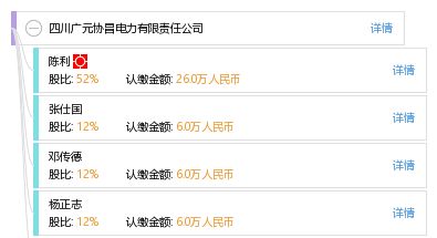四川省广元市私营电力公司有那些