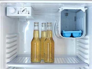 冰箱有很多隐藏的强大功能,如果不会用,冰箱算白买了