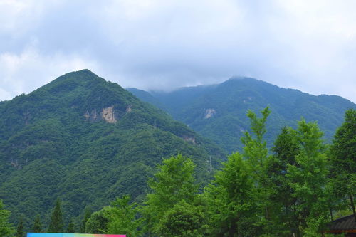 倾情湖北 三 神农架 下