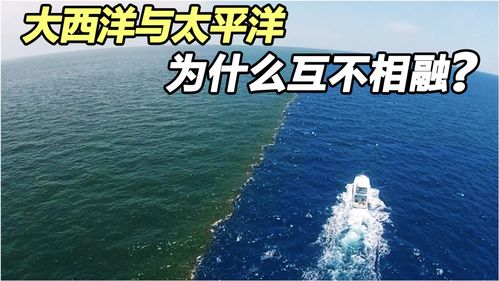 同样是海水 为何大西洋的水位比太平洋低50厘米 为何互不相容 