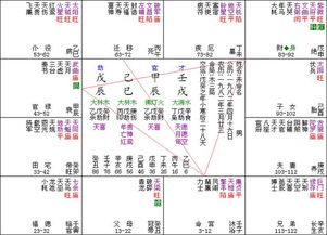 易道玄 紫微斗数命盘分析