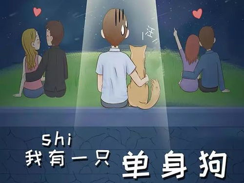 干货之最 第一期 十二星座之最容易单身 心最硬