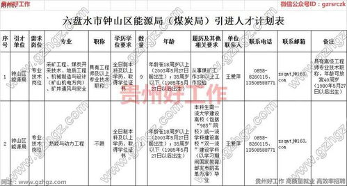 六盘水市钟山区能源局 煤炭局 2021年引进10名急需紧缺专业人才 报名时间 5月28日至6月30日