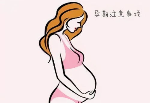 怀孕三个月肚子有多大(怀孕三个月肚子有多大为什么呢)