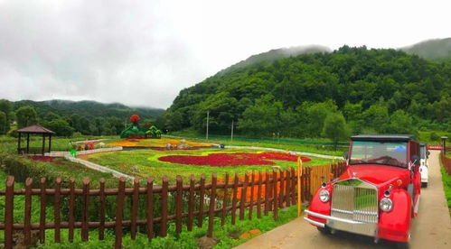 十一双节畅游庆都山(庆都山免费停车场)