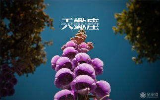 AB型天蝎座 冷静理性孤芳自赏