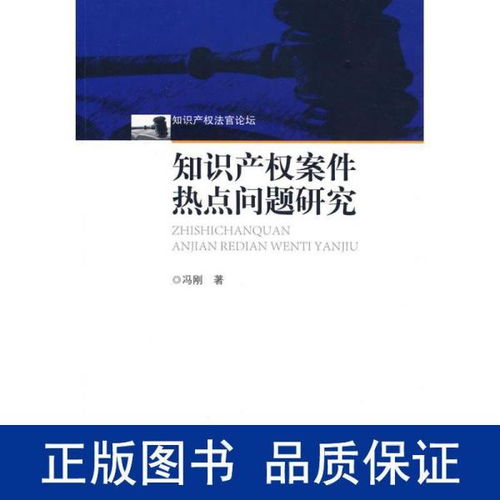 知识产权案件热点问题研究