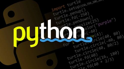 北京理工大学嵩天python,计算机二级python怎么备考